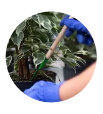 Saturating any nearby