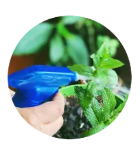 Spraying the cleaning agent from the bottom to the top of the surface