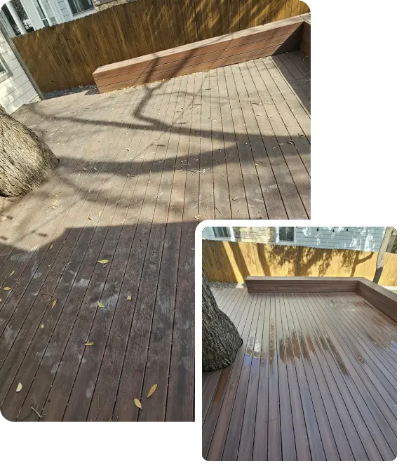 Revitalize Your final