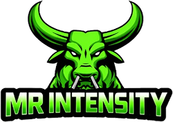 Mr. Intensity Junk Removal